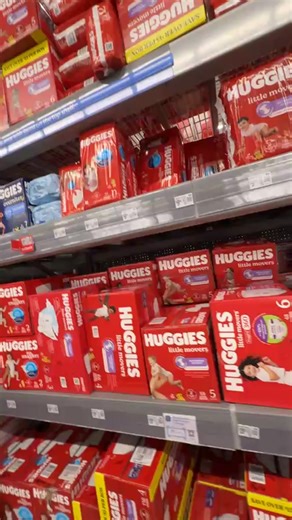 The Shabby Tree on Reels