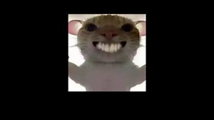 一个视频教会小白电脑DIY