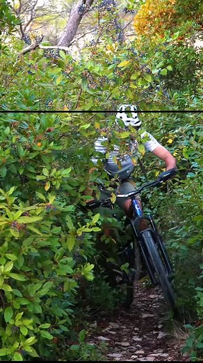 ⇢ PJ Academy, c’est quoi ? Tu veux progresser en vélo, rouler plus régulièrement et rester motivé toute l’année ? 🚴‍♂️ Bienvenue dans la PJ Academy : 👉 Une sortie collective chaque jeudi soir de 18h à 20h à Calvisson 👉 Encadrée, coachée, et pensée pour progresser dans la bonne humeur 👉 Accessible à tous les niveaux Tu apprends, tu roules, tu t’améliores… tout ça en groupe, dans une bonne ambiance ! ⇢ Abonnement : 50€/mois Envie de rejoindre l’aventure ? 📩 Pour t'inscrire, n'hésites pas à me