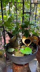 2.8K views · 33 reactions | Smart Garden on Reels | Facebook