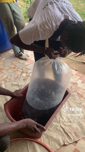 Aqua~girl❤️ sur TikTok