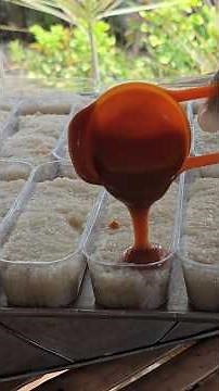 Gawin natin ito sa malagkit riceSuman with caramel sauce sa gata