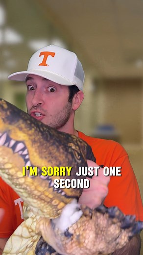 146 reactions | WEEK 13 IS HERE! Can Tech take home the Hiller cup?  | Hiller Plumbing, Heating, Cooling & Electrical | Facebook