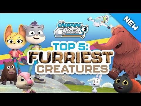 ‪@CreatureCases‬ - 🦁 Top 5: Furriest Animals 🗒️ | Creature Features | Full Episodes