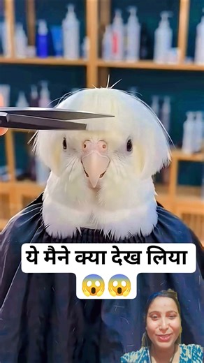 Chicken Ban Gaya Stylish 🐔✨#chiken #birds #trending #funny #ytshorts #shorts