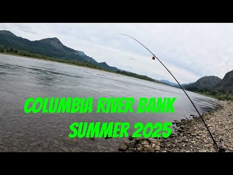Columbia River Bank Fishing| Sockeye Salmon Fishing and Steelhead fishing | Plunking Columbia RIver