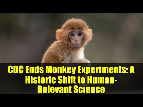CDC Ends Monkey Experiments: A Historic Shift to Human-Relevant Science