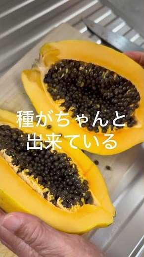 青パパイヤを完熟させる方法❣️