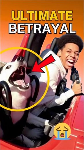 Bro Forgot He’s a Dog 💀 #animals #shorts