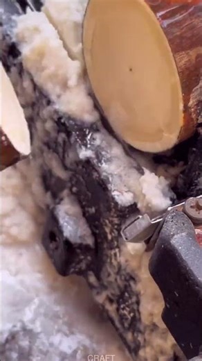 Unbelievable! Precious Wood Cutting – This Log Costs a Land Cruiser!