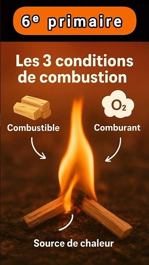 les conditions de combustion | sciences 6eme primaire #NORONE