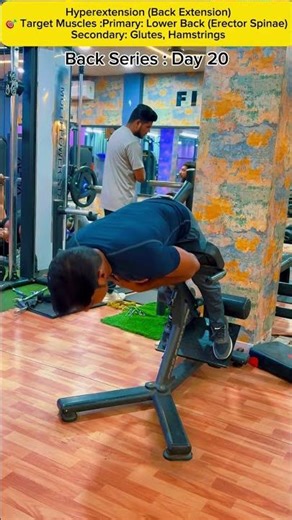 Hyperextension (Back Extension) – Perfect Form | Strong Lower Back 💪