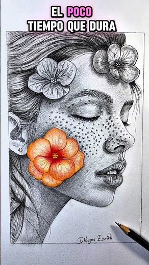 Realistic pencil portraits