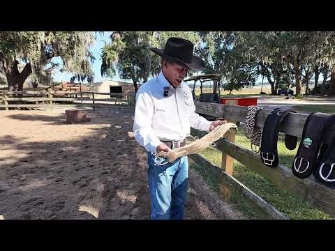 Standard Cinch Styles: A Professional Perspective