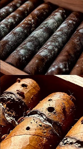 Cigar Humidor Settings That Actually Work (60-70 Rule?) #cigar #cigarcommunity #cigarhumidor