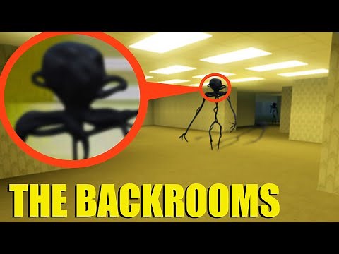 we found the Backrooms in real life... goodbye. (found footage)