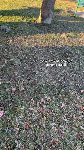 literally befriended a squirrel #boyfriend #squirrel #disneyprincess #fyp