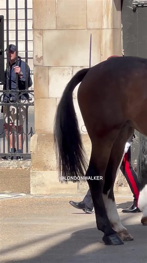 Captain's Guard Inspection at Horse Guards