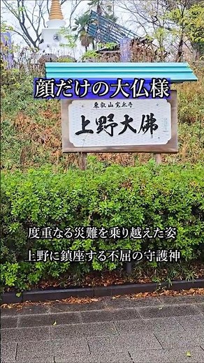 【絶対に落ちない】顔だけになった大仏様。上野恩賜公園に鎮座する不屈のパワースポット🌸 #shorts