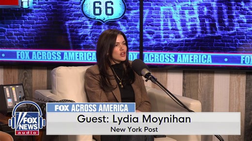 Moynihan: Democrats have not been able to present a compelling argument against voter ID