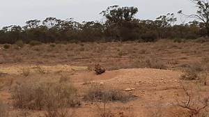 31K views · 3.9K reactions | We were back out doing food drops today!...