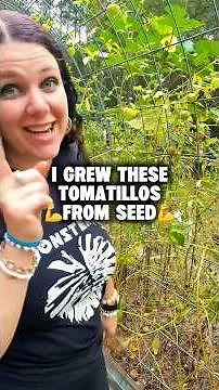 How to grow and care for tomatillos 🍅 #vegetablegardening #tomatillo #tomatogarden #verticalgarden