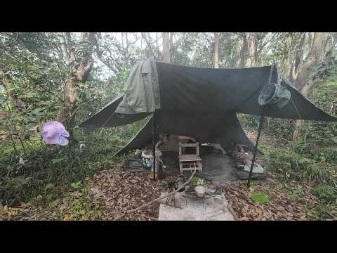 No. 008 ４月 海辺の森で愛犬とともに USパップテント(US Army pup tent) デイキャンプ