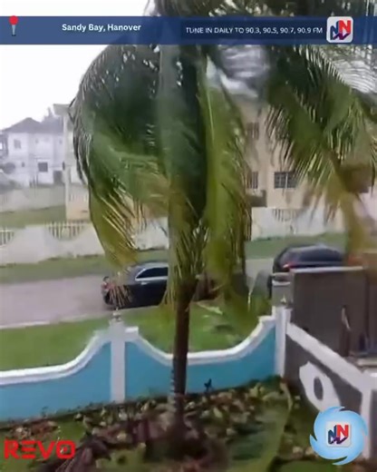 REGIONAL || Hurricane Melissa’s heavy winds and rain battering sections of Hanover, Jamaica. (Source: Nationwide90FM) | News Room