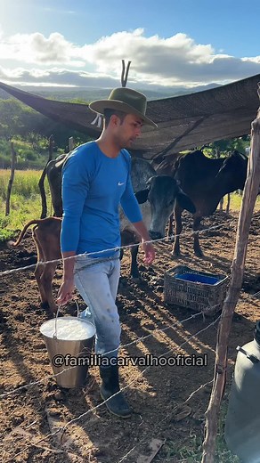 Preço de Vaca Leiteira: O Que Esperar em 2023