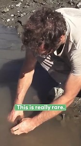 152K views · 2.2K reactions | Finding A Rare Coke Bottle! #reels #discovery #mudlarking #finds #Coke #collectibles | Nicola White Tideline Art | Facebook