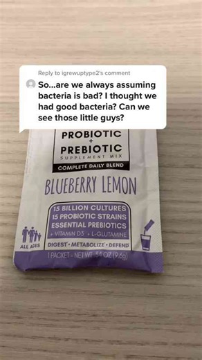 Hidden Wonders: Exploring the Microscopic World