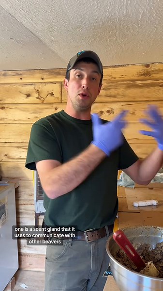 NewEnglandNaturals (@newenglandnaturals)’s videos with original sound - NewEnglandNaturals