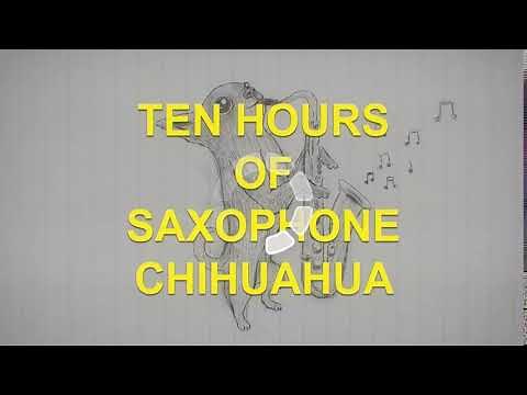 SAXAPHONE CHIHUAHUA
