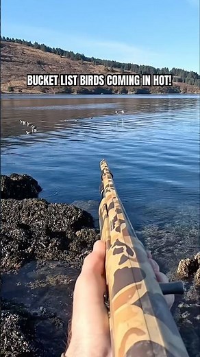 ✅ Barrow’s Goldeneye — one more bucket list bird checked off! 💥 #duckhunting #waterfowl