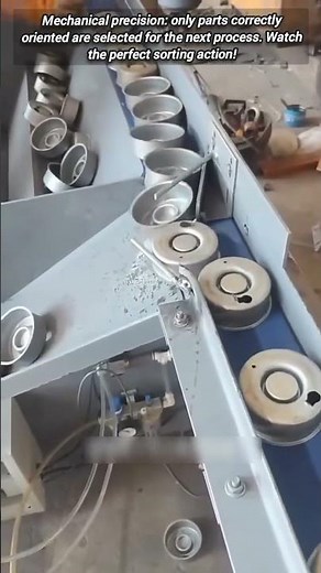 Mechanical Sorting: Only Correct Parts Advance to Next Stage.