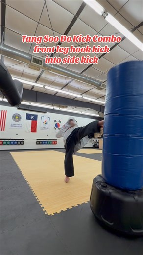 Tang Soo Do Kick Combo front leg hook kick in side kick