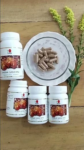 🌿 Reishi Gano DXN: propiedades, nutrientes y usos del Ganoderma lucidum