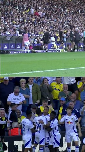 Farke and Elland Road celebrate goals v Hull City | Dugout Cam