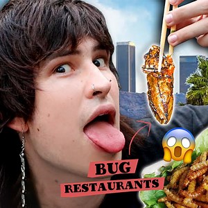 My First Time Eating Bugs! 🐛 | Jake Webber