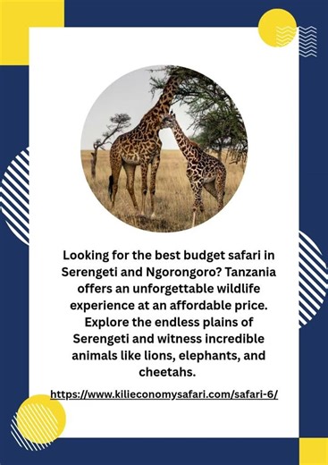 Best Budget Safari in Serengeti and Ngorongoro #kilieconomysafari