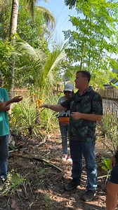 Paghahanda bago magcheck ng Stingless bee hive #fypシ゚viralシ #pinoypalaboy | Pinoy Palaboy