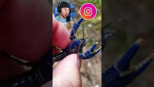 People who discovered unusual objects in random locations