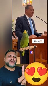Papagaio viralizou ajudando o pastor no culto!! 😍😍😍 #reaction #reels #react #viral | Flavio React