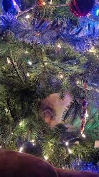 POV: You left your cat alone with the Christmas tree #Disaster #Cats