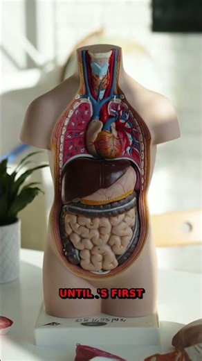 STOP! You've NEVER Understood Visual Science | History Revealed