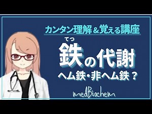 【ヘモグロビンの作り方】鉄の代謝 ヘム鉄と非ヘム鉄をスッキリ覚えよう！