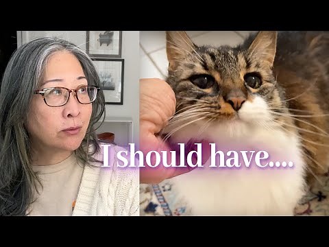 Grief over pet loss: how to cope and deal with guilt