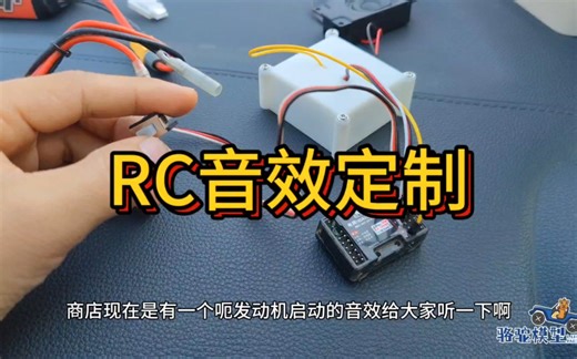 Diy RC声组。