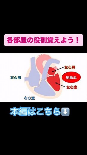 The roles of each chamber of the heart #nursing student #national exam