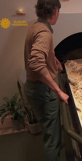 Natural organic reduction, more simply known as human composting, is a natural process that transforms the body into soil. It has become a recognized alternative to embalming, and a climate-friendly option compared to cremation. #funerals #humancomposting #climatefriendly #carbonfootprint #organic